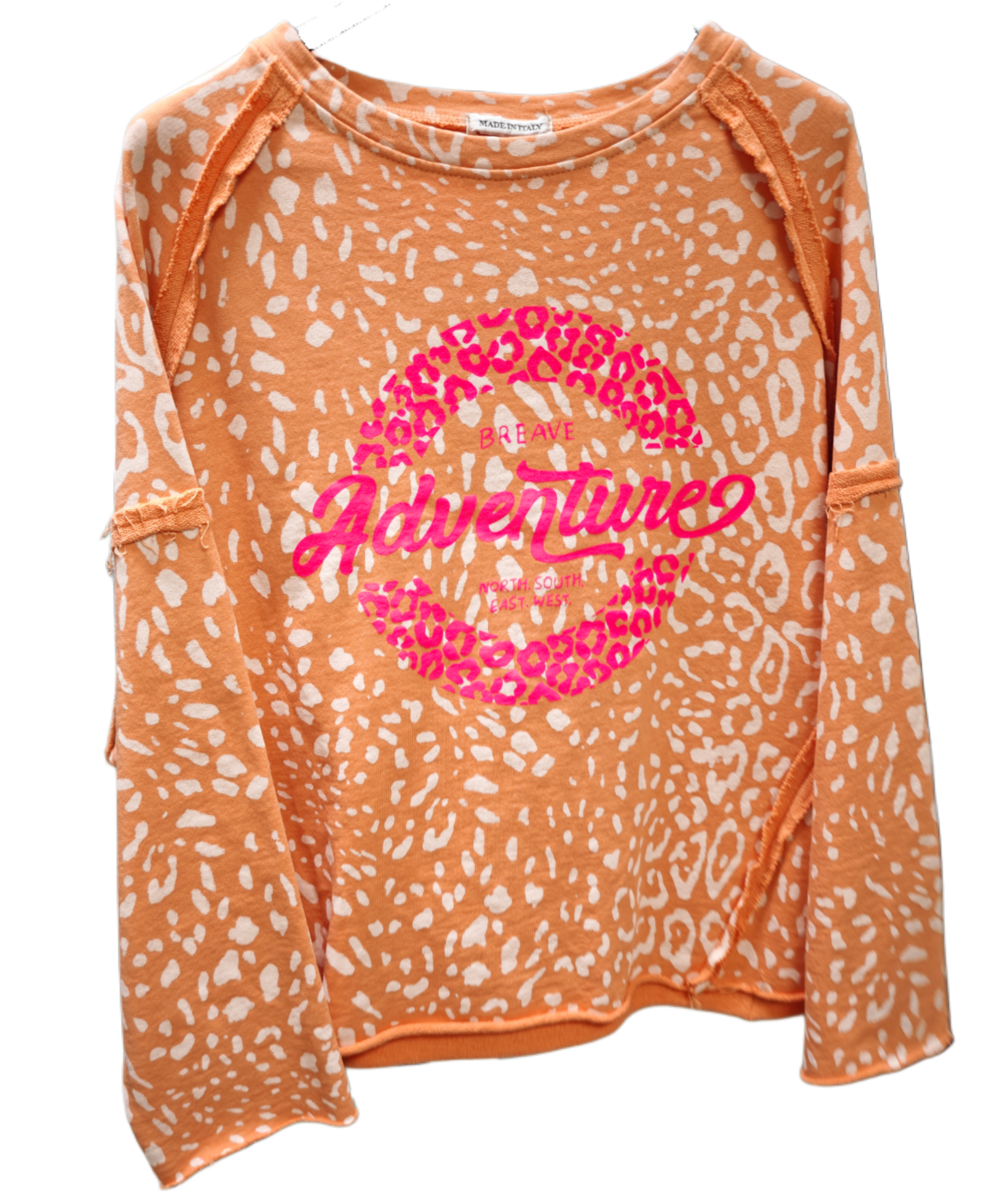 Pulli Leo
