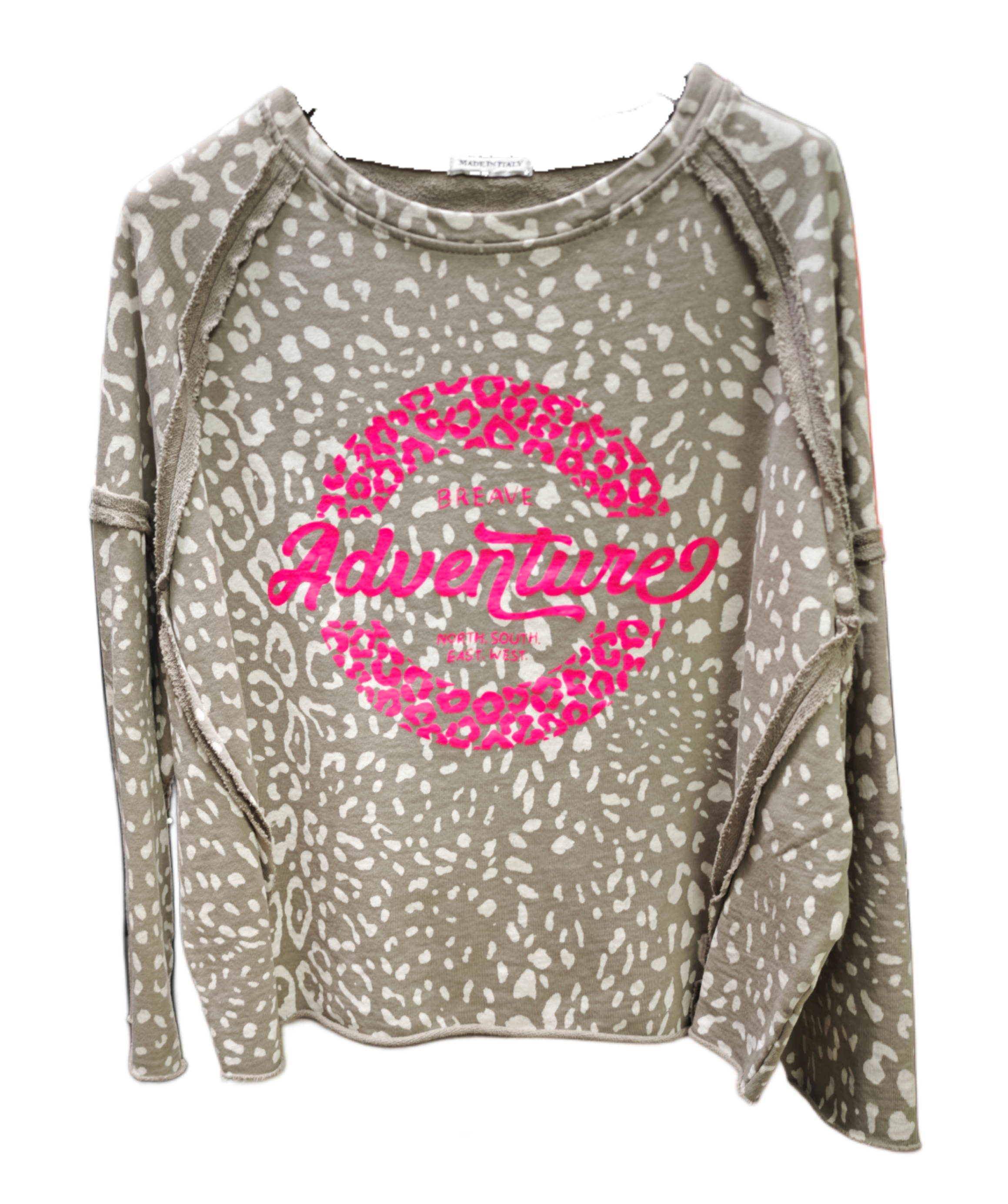 Pulli Leo